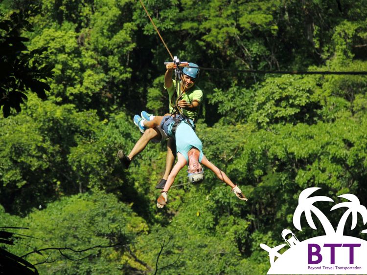 Canopy Zip Line